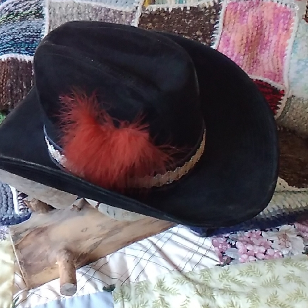 Black Fedora with Red Feather Accent
